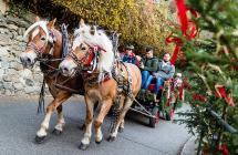 Pferdekutschenfahrt im Advent