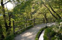 Il Waalweg (sentiero della roggia) di Marlengo nel comprensorio di Merano & Dintorni