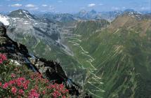 Tour in moto – allo Stelvio